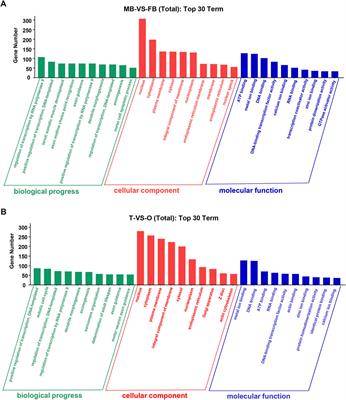 Comparative transcriptome analysis of brain and gonad reveals reproduction-related miRNAs in the giant prawn, Macrobrachium rosenbergii